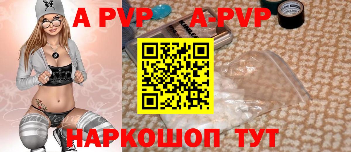 A-PVP СК КРИС Урус-Мартан