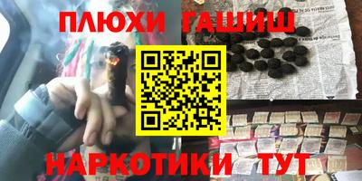 a pvp Новозыбков